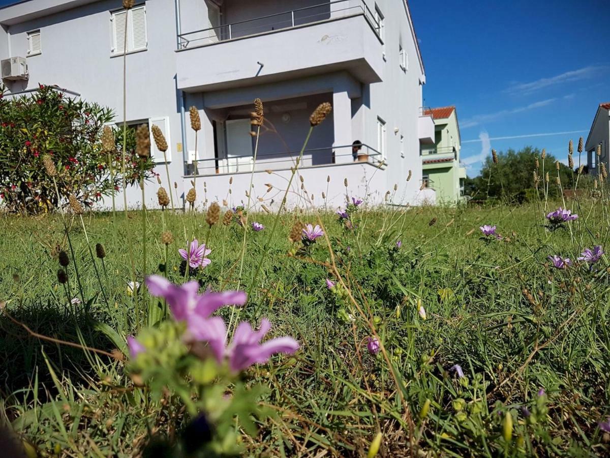Apartment Vitalia 2+2 Poreč Exteriör bild